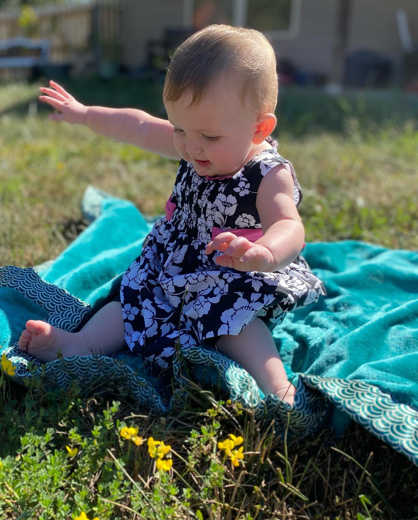 Amelia
